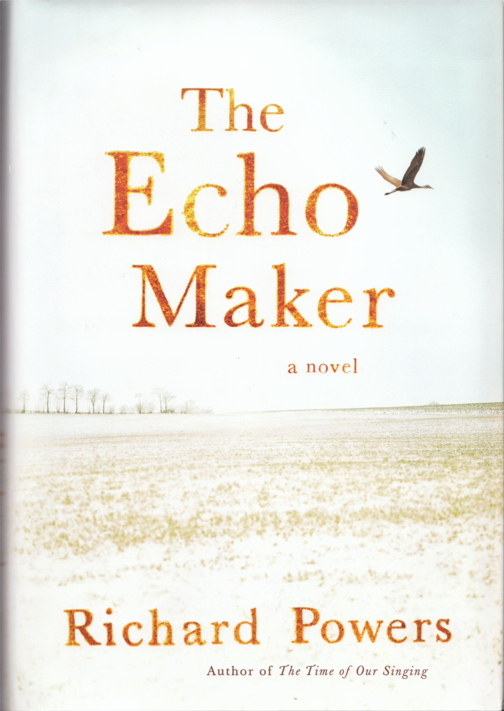 Richard Powers: The Echo Maker (Hardcover, 2006, Farrar Straus and Giroux)