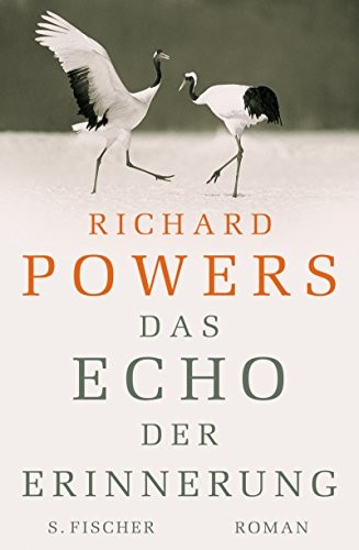 Richard Powers: Das Echo der Erinnerung (S FISCHER)