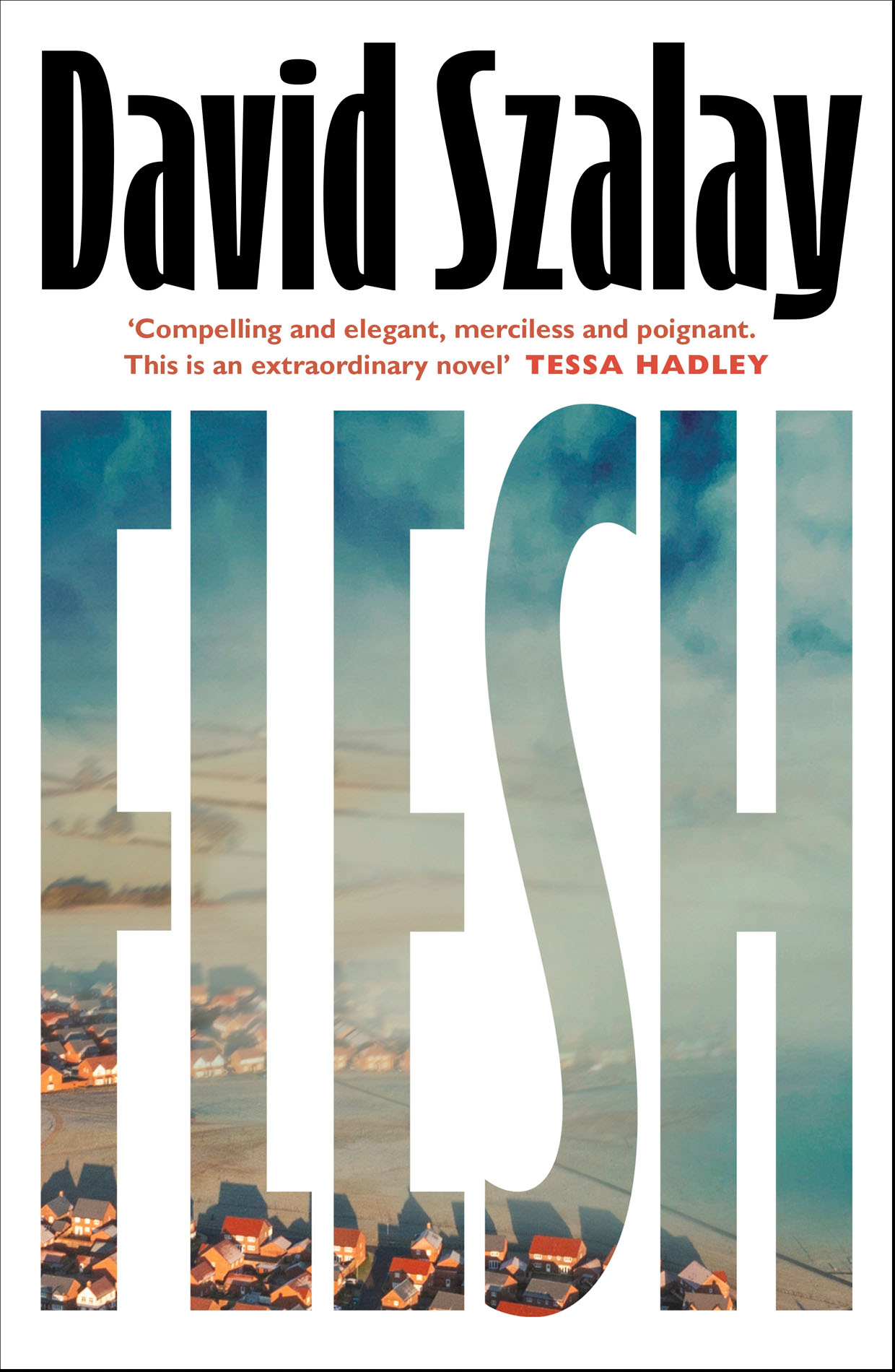 David Szalay: Flesh (Hardcover, 2025, Jonathan Cape)