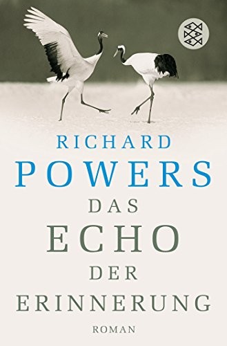 Richard Powers: Das Echo der Erinnerung (German language, Fischer Taschenbuch Verlag)